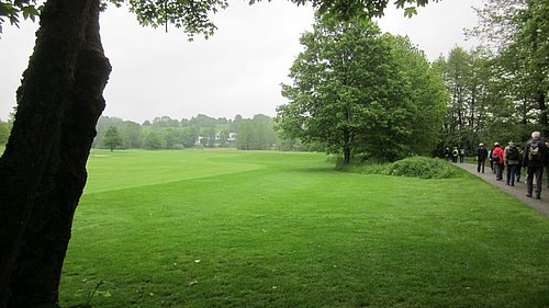 Große Wiese