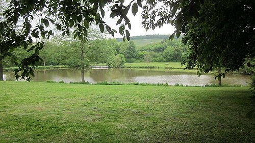 Blick auf den See unter Bäumen